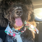 Photo submitted by Kathy