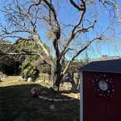 Photo submitted by Guest