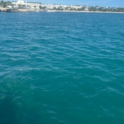 Photo submitted by Guest