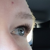 Photo submitted by Guest