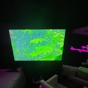 Photo submitted by Susan