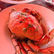 Photo submitted by Silvia