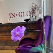 Photo submitted by Yanina