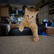 Photo submitted by justin