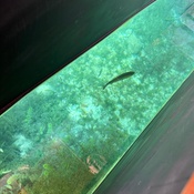 Photo submitted by Guest