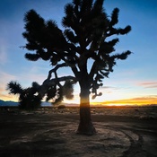 Photo submitted by Guest