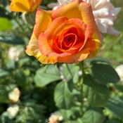 Photo submitted by Rhonda