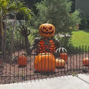 Photo submitted by Lori