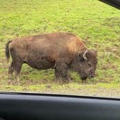 Photo submitted by Isabel