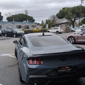 Photo submitted by Miracle