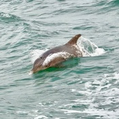 Photo submitted by Megan