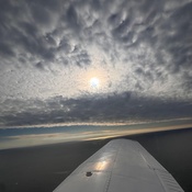 Photo submitted by Jhanelle