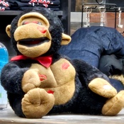 Photo submitted by Joanne