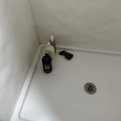 Photo submitted by Heather