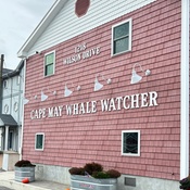 Photo submitted by Kelly