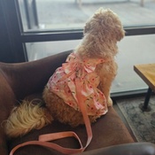 Photo submitted by Laura