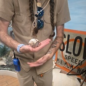 Photo submitted by Chloa