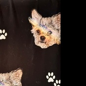 Photo submitted by Guest