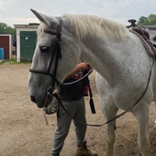 Photo submitted by Guest