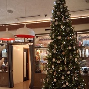 Photo submitted by Ron