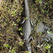 Photo submitted by Evelyn