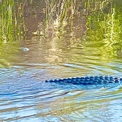 Photo submitted by rob