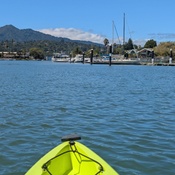 Photo submitted by Anita