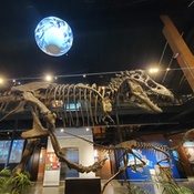 Photo submitted by Stephania