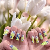 Photo submitted by Guest