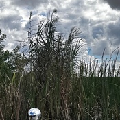 Photo submitted by Manish