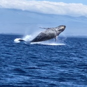 Photo submitted by Susan