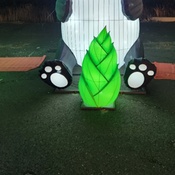 Photo submitted by KJ