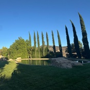 Photo submitted by Syd