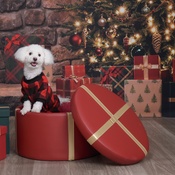 Photo submitted by Jennifer