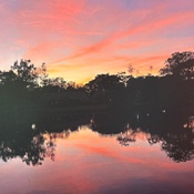 Photo submitted by Nadine