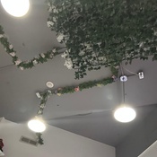 Photo submitted by Guest