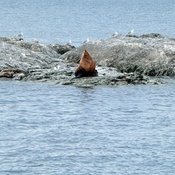 Photo submitted by Selene