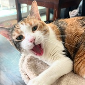 Photo submitted by Kathy