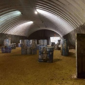 Photo submitted by Mary