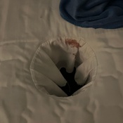 Photo submitted by Joanie