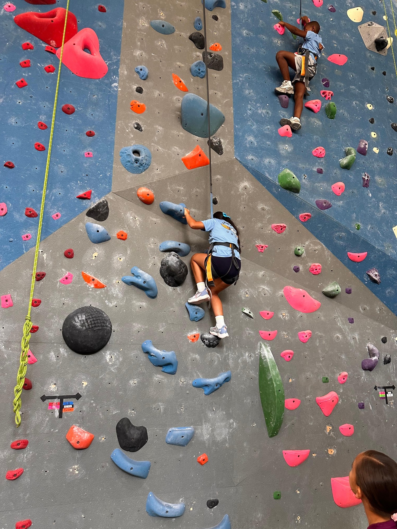 Climb Woodlands - From $41.85 - Magnolia | Groupon
