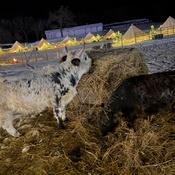 Photo submitted by Kristina