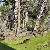 Photo submitted by dawn