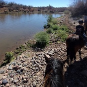 Photo submitted by Tiffany