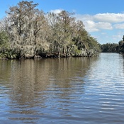 Photo submitted by Monica