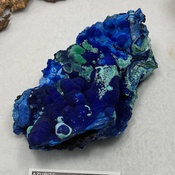 Photo submitted by Guest