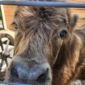 Photo submitted by Courtney