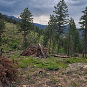 Photo submitted by Vickers