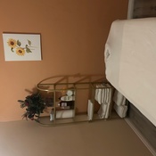 Photo submitted by Jenevieve