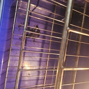 Photo submitted by Sheryl